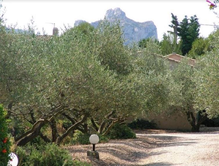 Un Gite En Provence - Les Jardins De Fontanille Saint-Remy-de-Provence Exterior photo